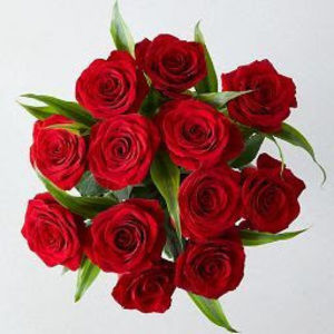 Meet your Posher, Diana